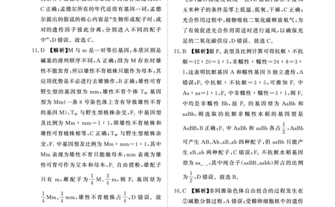 青桐鸣大联考2025-2026学年高三上学期11月联考生物答案_251115河南省青桐鸣大联考2025-2026学年高三上学期11月联考（全）