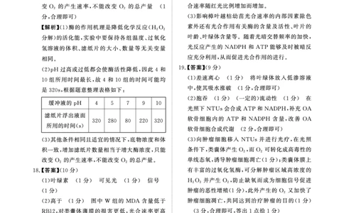 青桐鸣大联考2025-2026学年高三上学期11月联考生物答案_251115河南省青桐鸣大联考2025-2026学年高三上学期11月联考（全）