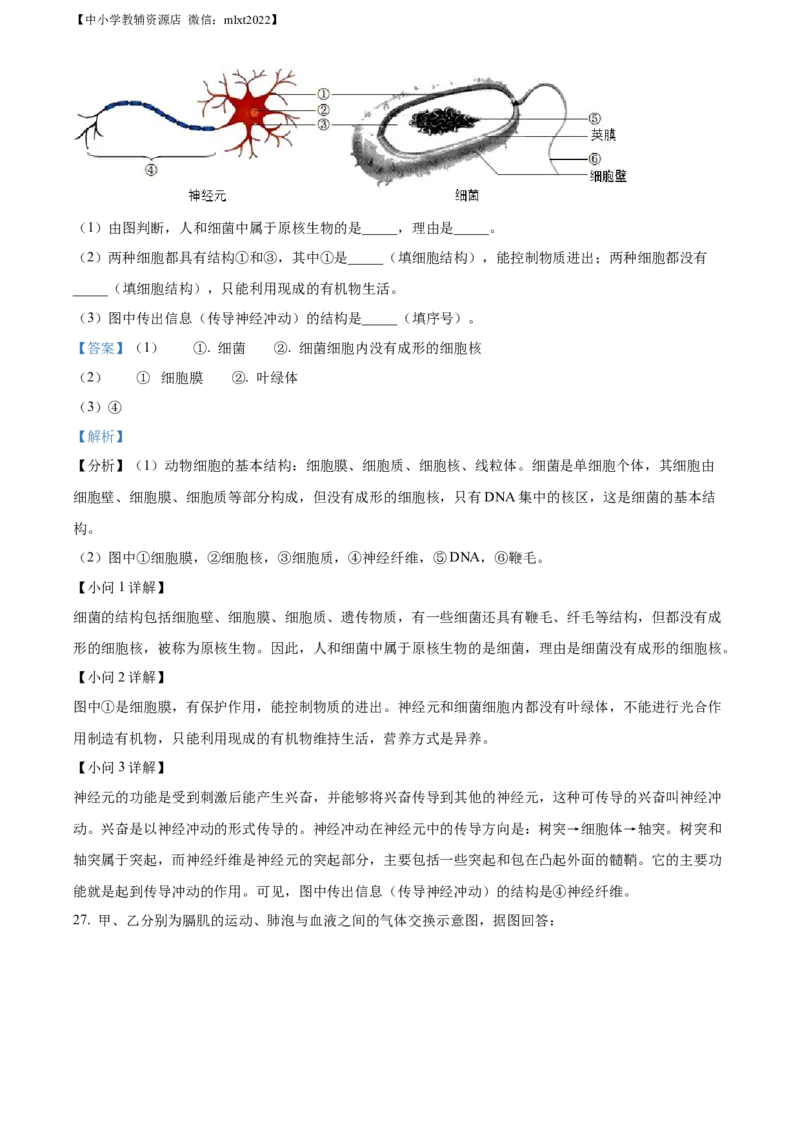 精品解析：2022年湖南省长沙市中考生物真题（解析版）_中考真题_8.生物中考真题2015-2024年_2022年全国中考生物114份14