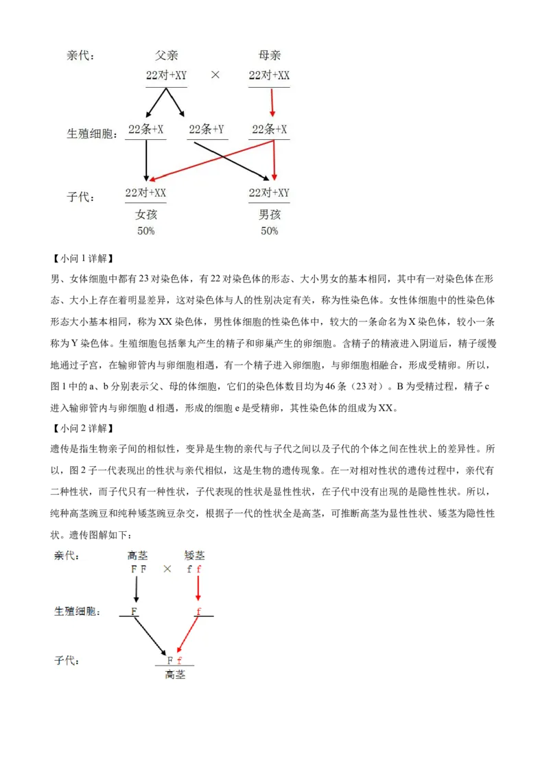 精品解析：2022年新疆维吾尔自治区新疆生产建设兵团中考生物真题（解析版）_中考真题_8.生物中考真题2015-2024年_2022年全国中考生物114份14