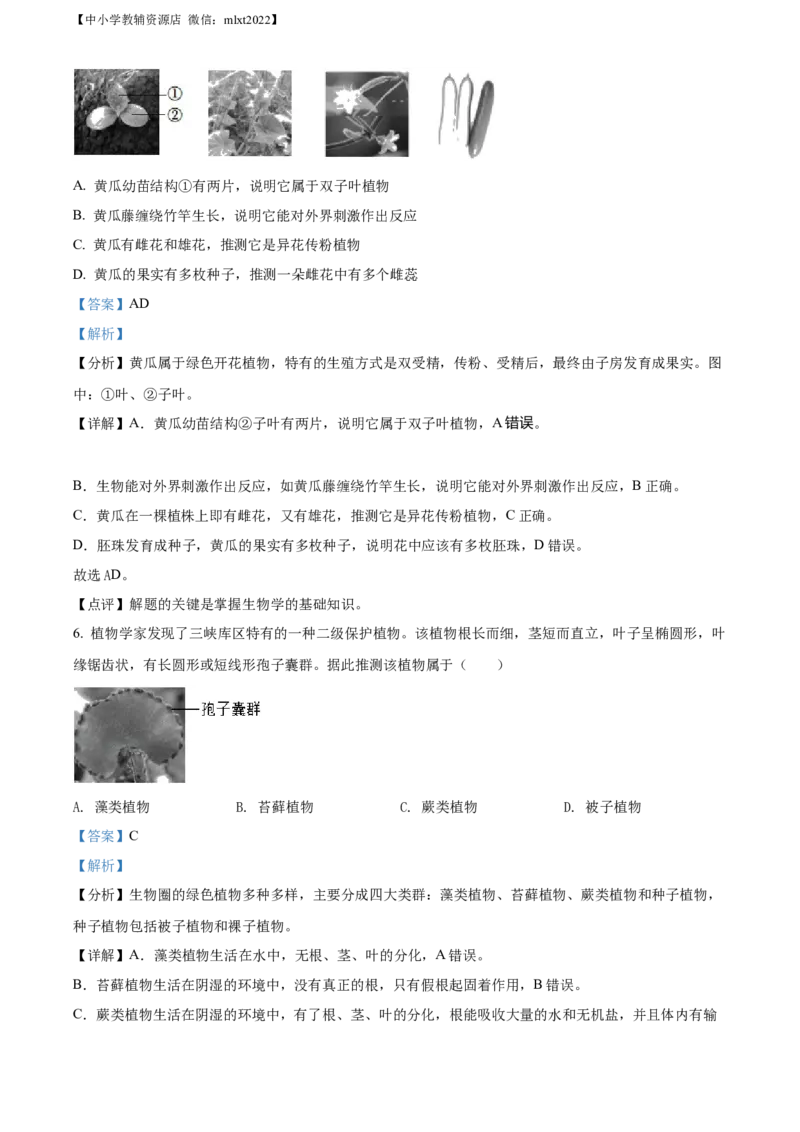 精品解析：2022年湖南省益阳市中考生物真题（解析版）_中考真题_8.生物中考真题2015-2024年_2022年全国中考生物114份14