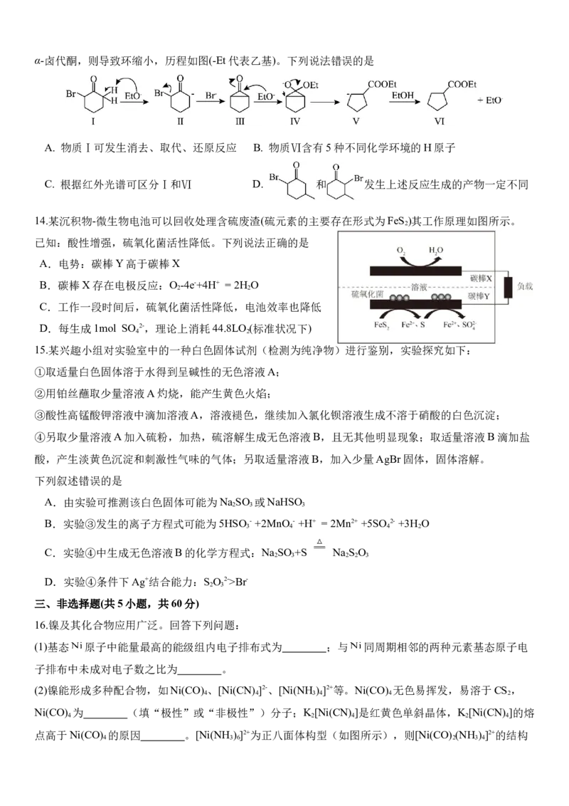 高三年级10月份阶段性检测化学试题_251102山东师范大学附属中学2026届高三上学期10月份阶段性检测（全科）