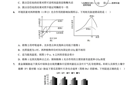 重庆实验外国语学校2025-2026学年度（上）高2026届10月月考（四）生物_251101重庆实验外国语学校2025-2026学年度（上）高2026届10月月考（四）（全科）