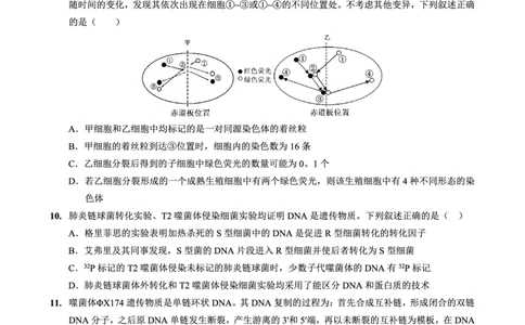 重庆实验外国语学校2025-2026学年度（上）高2026届10月月考（四）生物_251101重庆实验外国语学校2025-2026学年度（上）高2026届10月月考（四）（全科）