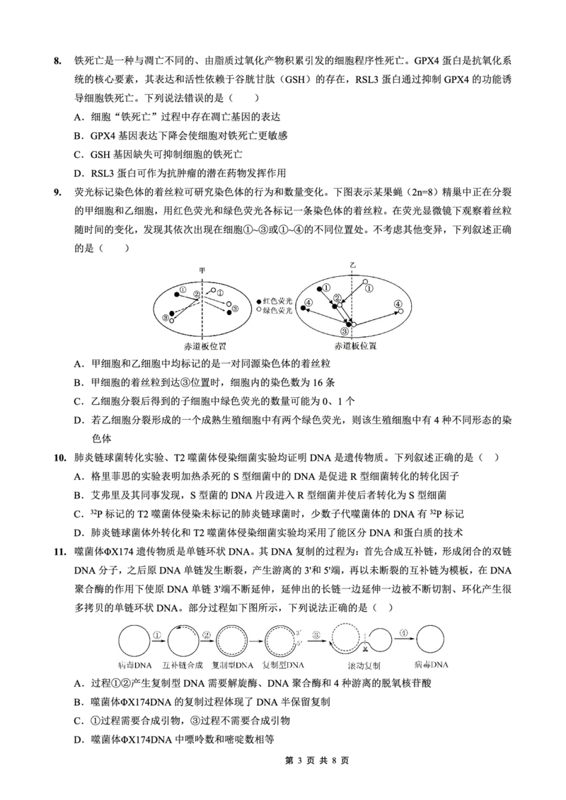 重庆实验外国语学校2025-2026学年度（上）高2026届10月月考（四）生物_251101重庆实验外国语学校2025-2026学年度（上）高2026届10月月考（四）（全科）