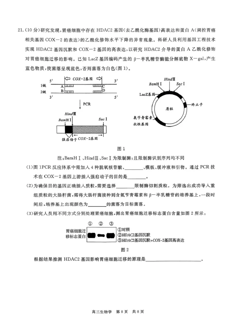 贵州省名校协作体2025-2026学年高三上学期质量监测（二）生物试题_2025年12月_251223贵州省名校协作体2025-2026学年高三上学期质量监测（二）（全科）