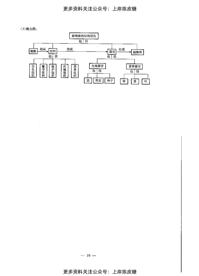 生物学科知识与教学能力（初级中学）标准预测试卷-参考答案及解析_4-教培资料-26年最新资料-同步更新_初中高中教资_03科三专项（进去保存报考的学科即可）_初中_生物