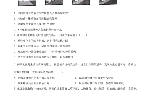 精品解析：2022年山东省潍坊市中考生物真题（原卷版）_中考真题_8.生物中考真题2015-2024年_2022年全国中考生物114份14