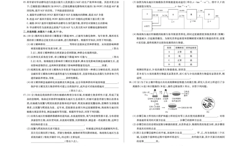 生物试卷_2025年7月_250714海南省&middot;天一大联考2024-2025学年高二下学期学业水平诊断（三）（全科）_海南省天一大联考2024-2025学年高二下学期学业水平诊断（三）生物