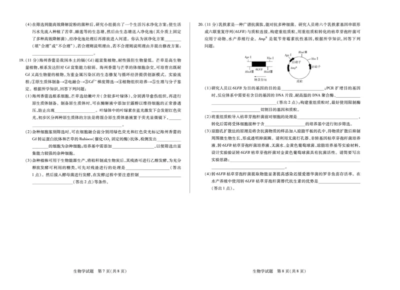 生物试卷_2025年7月_250714海南省&middot;天一大联考2024-2025学年高二下学期学业水平诊断（三）（全科）_海南省天一大联考2024-2025学年高二下学期学业水平诊断（三）生物