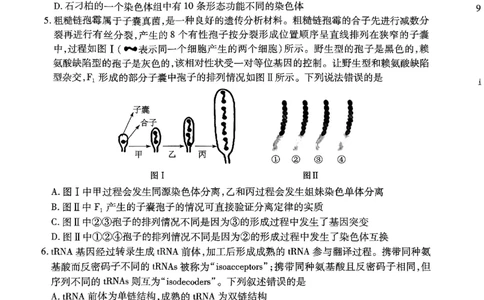 生物-湖北元月调考暨湖北省部分市州元月高三期末联考_2024届湖北元月调考暨湖北省部分市州元月高三期末联考