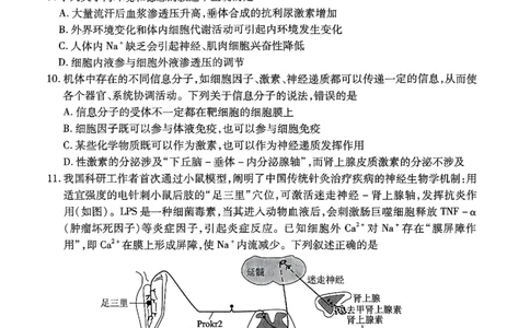 生物-湖北元月调考暨湖北省部分市州元月高三期末联考_2024届湖北元月调考暨湖北省部分市州元月高三期末联考