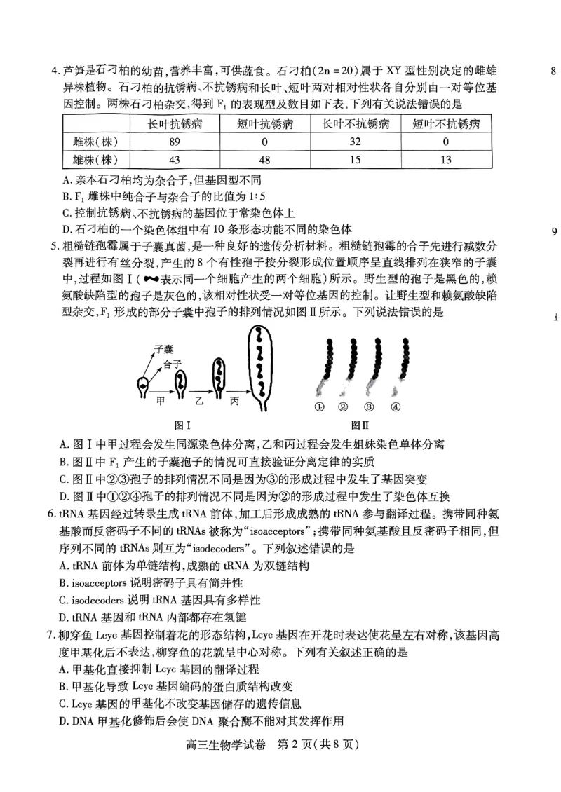 生物-湖北元月调考暨湖北省部分市州元月高三期末联考_2024届湖北元月调考暨湖北省部分市州元月高三期末联考