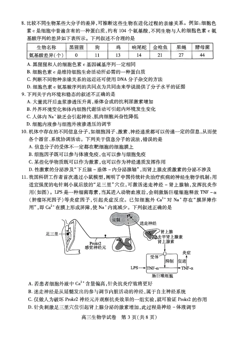 生物-湖北元月调考暨湖北省部分市州元月高三期末联考_2024届湖北元月调考暨湖北省部分市州元月高三期末联考