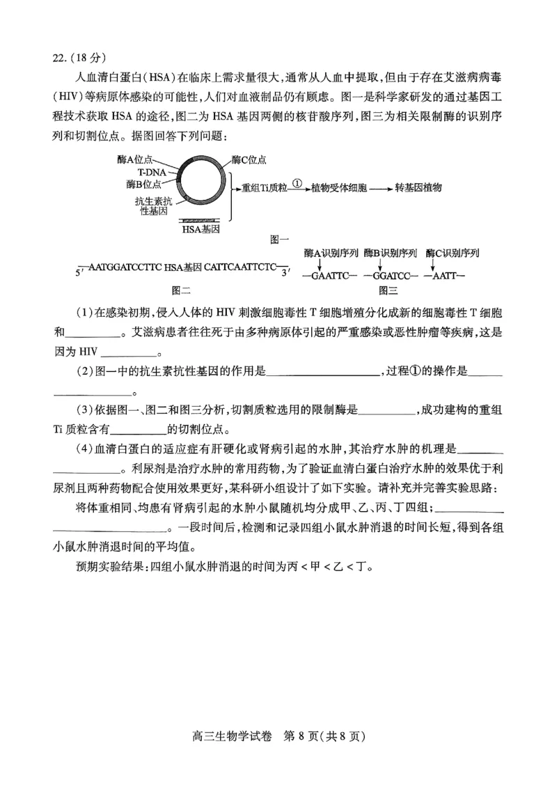 生物-湖北元月调考暨湖北省部分市州元月高三期末联考_2024届湖北元月调考暨湖北省部分市州元月高三期末联考