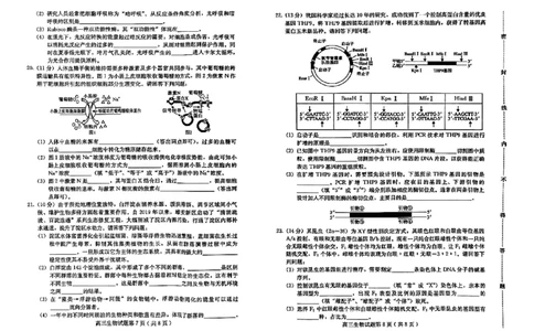 生物试题_2024届河北省保定市高三上学期期末调研考试_河北省保定市2024届高三上学期期末调研考试生物