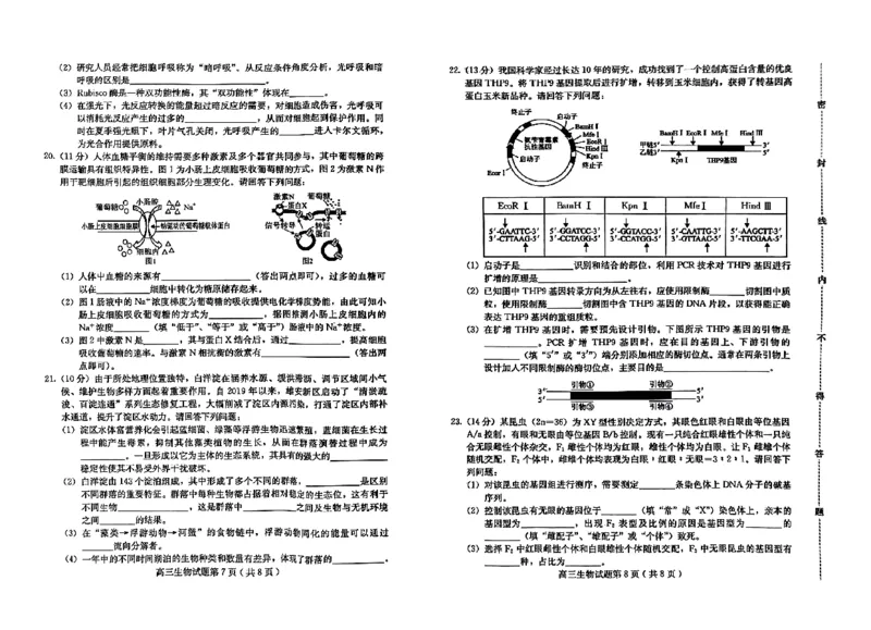 生物试题_2024届河北省保定市高三上学期期末调研考试_河北省保定市2024届高三上学期期末调研考试生物