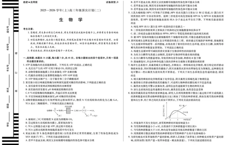 生物学B卷天一大联考&middot;河南省2025-2026学年（上）高三年级顶尖计划（二）_2025年12月_251211河南省、陕西甘肃省2025-2026学年（上）高三年级顶尖计划（二）（全科）