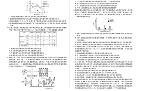 生物学B卷天一大联考&middot;河南省2025-2026学年（上）高三年级顶尖计划（二）_2025年12月_251211河南省、陕西甘肃省2025-2026学年（上）高三年级顶尖计划（二）（全科）