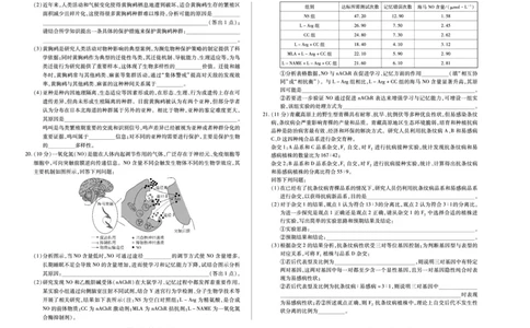 生物学B卷天一大联考&middot;河南省2025-2026学年（上）高三年级顶尖计划（二）_2025年12月_251211河南省、陕西甘肃省2025-2026学年（上）高三年级顶尖计划（二）（全科）