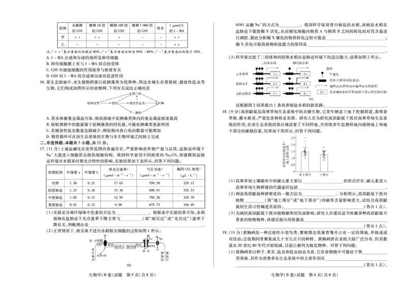 生物学B卷天一大联考&middot;河南省2025-2026学年（上）高三年级顶尖计划（二）_2025年12月_251211河南省、陕西甘肃省2025-2026学年（上）高三年级顶尖计划（二）（全科）