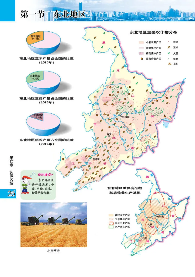 粤教版8年级地理下册地理图册_4-教培资料-26年最新资料-同步更新_初中高中教资_03科三专项（进去保存报考的学科即可）_02科三专项（笔记真题思维导图教学设计版本二）