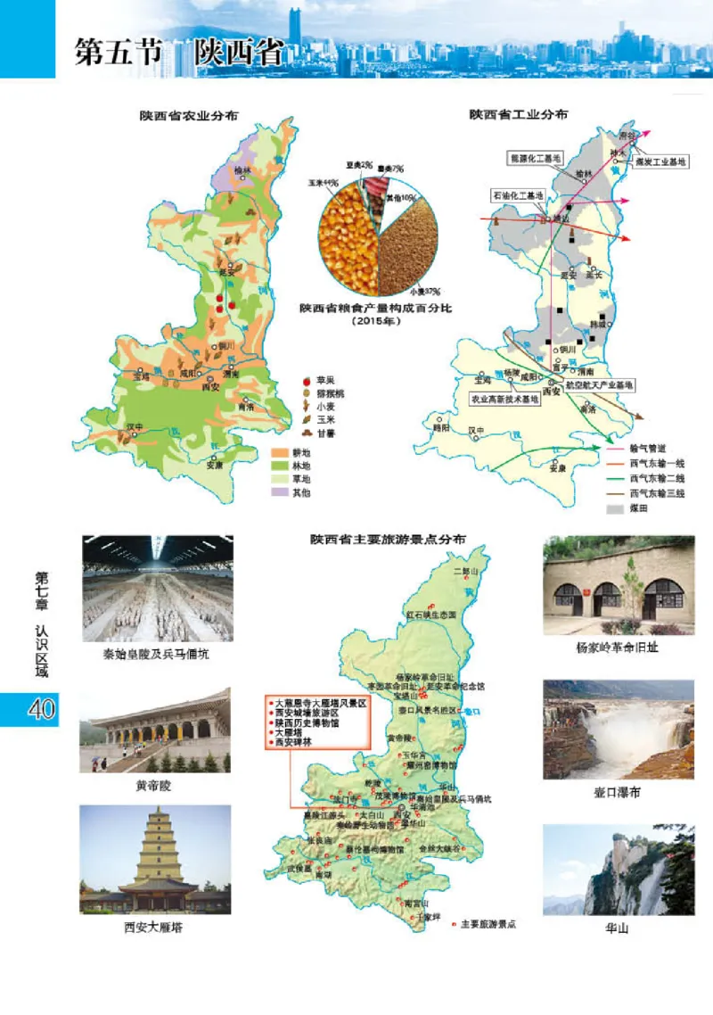 粤教版8年级地理下册地理图册_4-教培资料-26年最新资料-同步更新_初中高中教资_03科三专项（进去保存报考的学科即可）_02科三专项（笔记真题思维导图教学设计版本二）