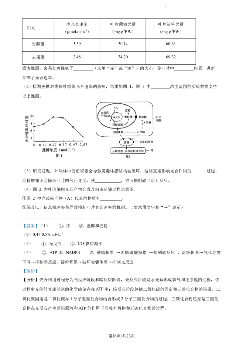 精品解析：黑龙江省大庆实验中学实验三部2023-2024学年高三上学期阶段考试（二）生物试题（解析版）_2024年1月_01每日更新_9号