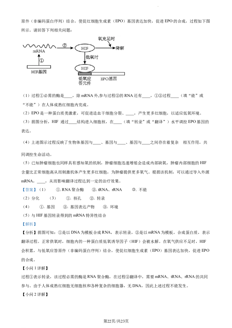 精品解析：黑龙江省大庆实验中学实验三部2023-2024学年高三上学期阶段考试（二）生物试题（解析版）_2024年1月_01每日更新_9号