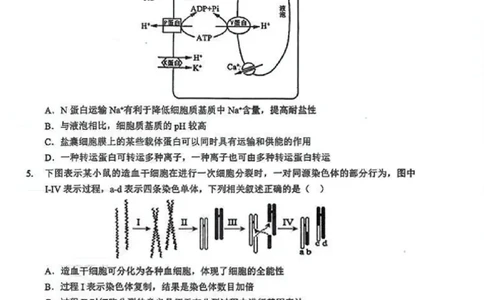 生物试卷_2025年12月_251217湖北省楚天协作体2026届高三2025年12月联考（全科）_湖北省楚天协作体2025-2026学年高三上学期12月联考生物试卷+答案