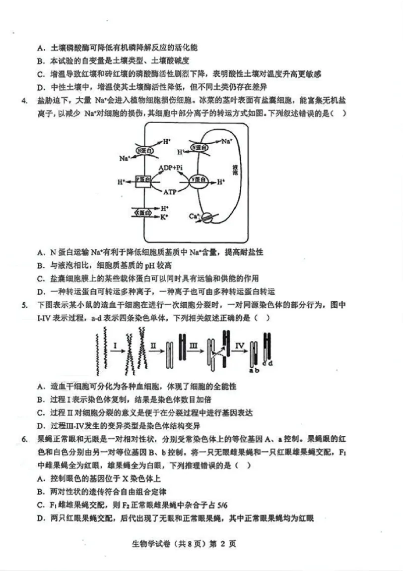 生物试卷_2025年12月_251217湖北省楚天协作体2026届高三2025年12月联考（全科）_湖北省楚天协作体2025-2026学年高三上学期12月联考生物试卷+答案