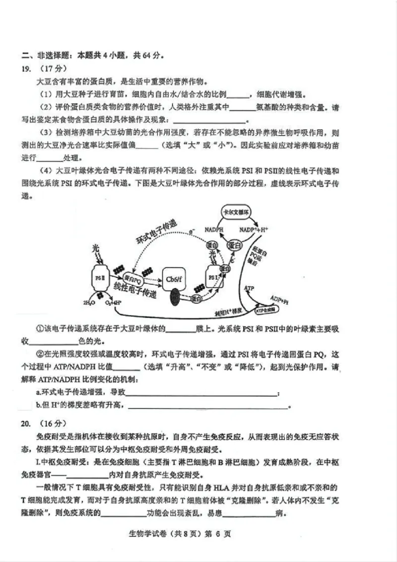 生物试卷_2025年12月_251217湖北省楚天协作体2026届高三2025年12月联考（全科）_湖北省楚天协作体2025-2026学年高三上学期12月联考生物试卷+答案