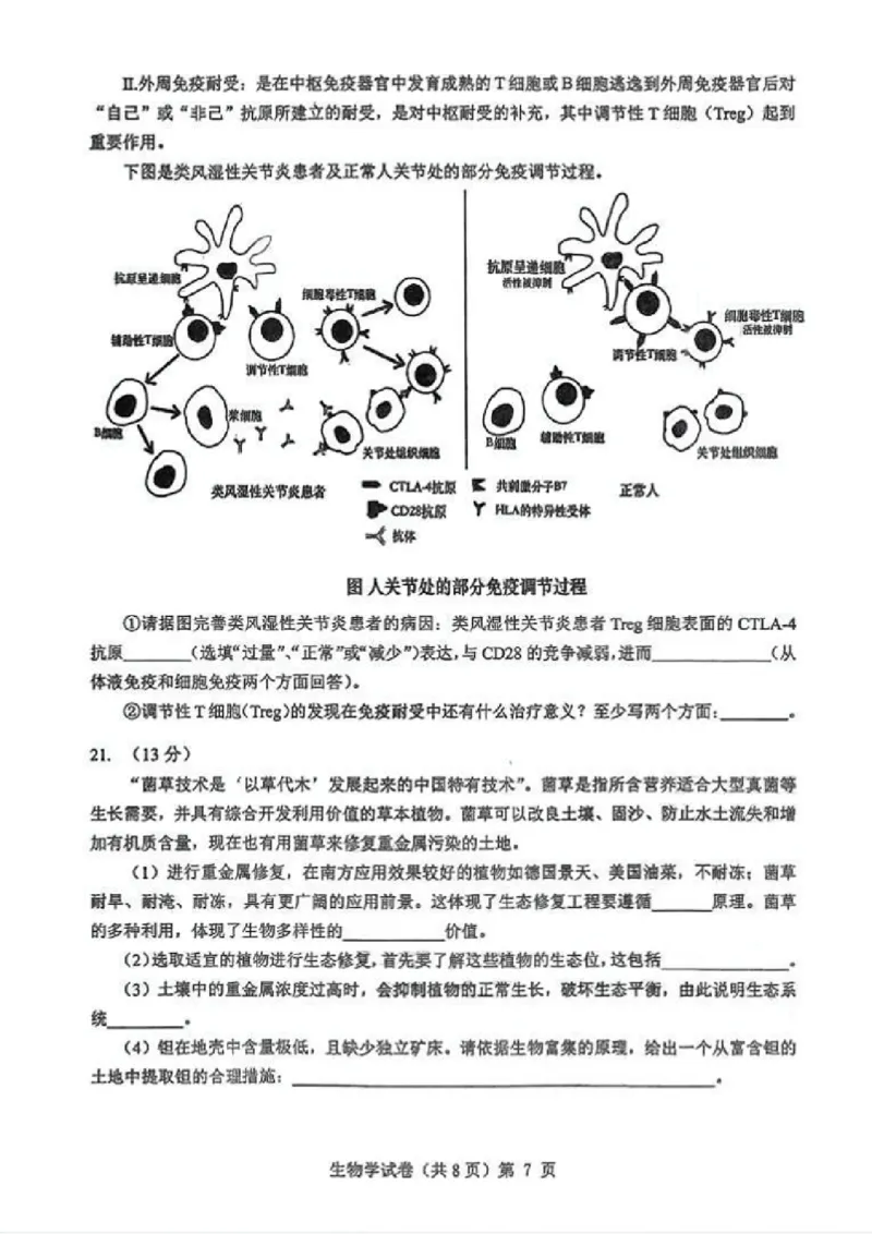 生物试卷_2025年12月_251217湖北省楚天协作体2026届高三2025年12月联考（全科）_湖北省楚天协作体2025-2026学年高三上学期12月联考生物试卷+答案