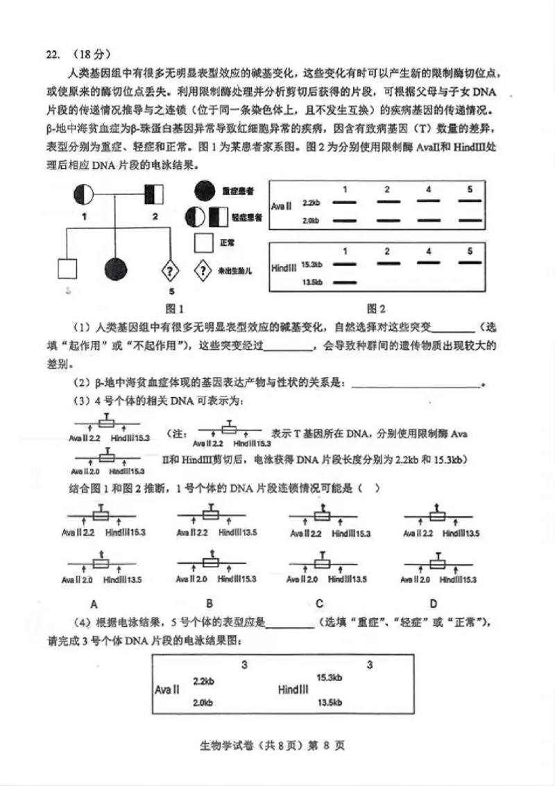 生物试卷_2025年12月_251217湖北省楚天协作体2026届高三2025年12月联考（全科）_湖北省楚天协作体2025-2026学年高三上学期12月联考生物试卷+答案
