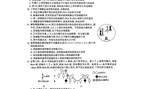 咸阳市2024高考第一次模拟考试生物试题_2024届陕西省咸阳市高考第一次模拟考试_陕西省咸阳市2024高考第一次模拟考试生物
