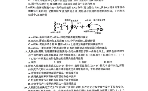 咸阳市2024高考第一次模拟考试生物试题_2024届陕西省咸阳市高考第一次模拟考试_陕西省咸阳市2024高考第一次模拟考试生物