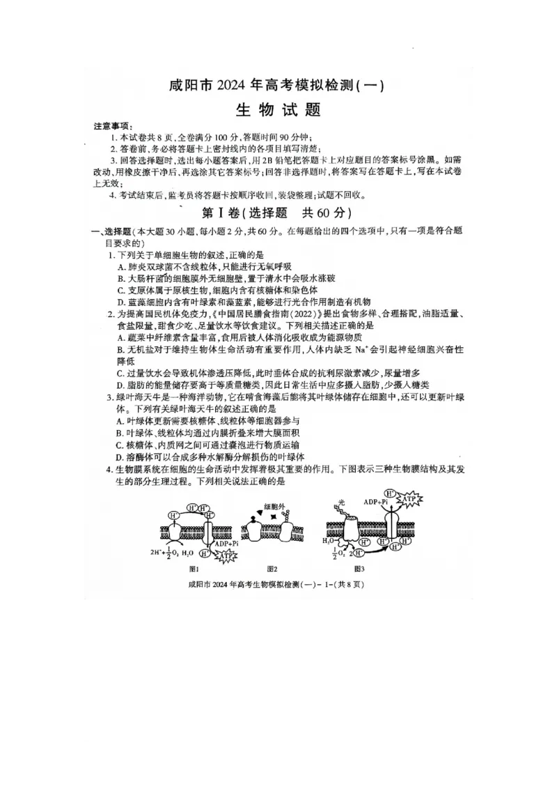 咸阳市2024高考第一次模拟考试生物试题_2024届陕西省咸阳市高考第一次模拟考试_陕西省咸阳市2024高考第一次模拟考试生物