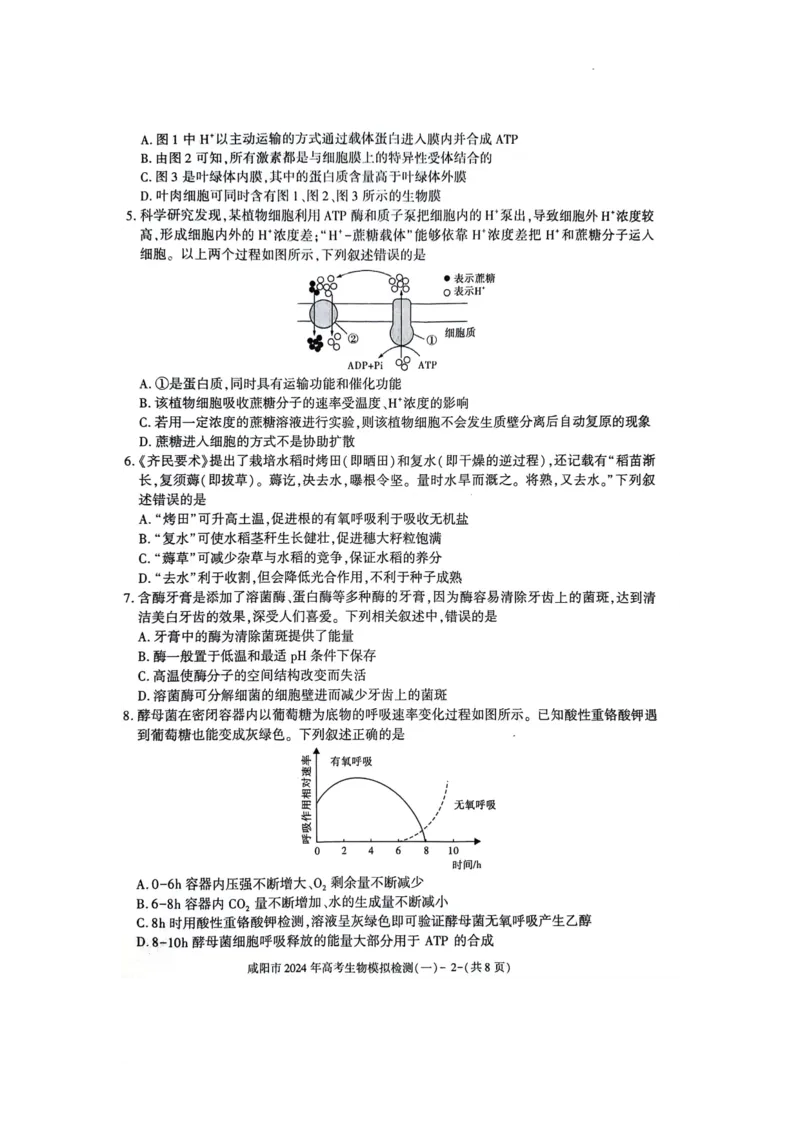咸阳市2024高考第一次模拟考试生物试题_2024届陕西省咸阳市高考第一次模拟考试_陕西省咸阳市2024高考第一次模拟考试生物