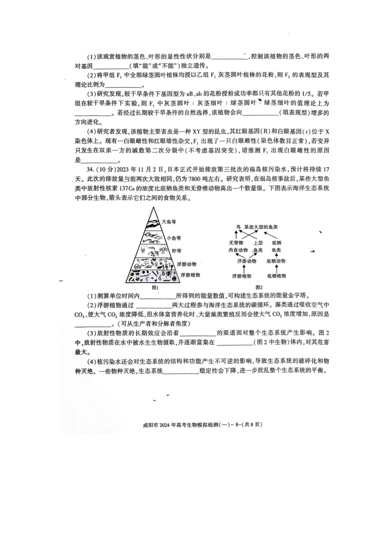 咸阳市2024高考第一次模拟考试生物试题_2024届陕西省咸阳市高考第一次模拟考试_陕西省咸阳市2024高考第一次模拟考试生物