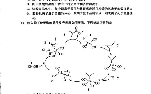 辽宁省大连市2024-2025学年高二下学期期末考试化学+答案_2025年7月_250721辽宁省大连市2024-2025学年高二下学期期末考试（全科）