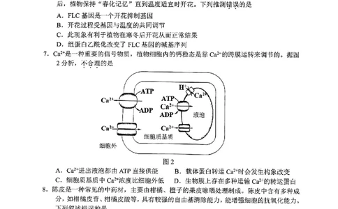 广东省佛山市普通高中2024届高三上学期期末教学质量检测（一）生物_2024届广东省佛山市普通高中高三上学期期末教学质量检测（一）