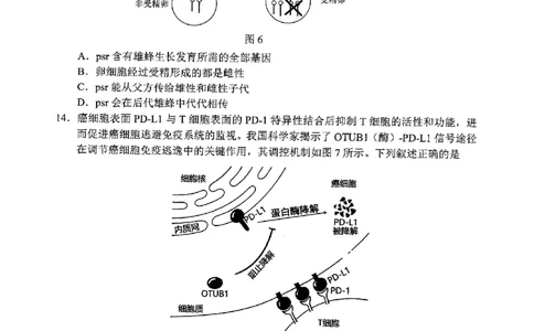 广东省佛山市普通高中2024届高三上学期期末教学质量检测（一）生物_2024届广东省佛山市普通高中高三上学期期末教学质量检测（一）