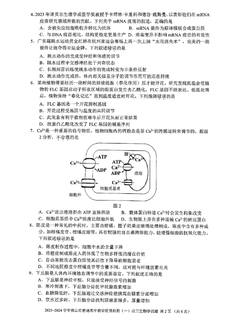 广东省佛山市普通高中2024届高三上学期期末教学质量检测（一）生物_2024届广东省佛山市普通高中高三上学期期末教学质量检测（一）