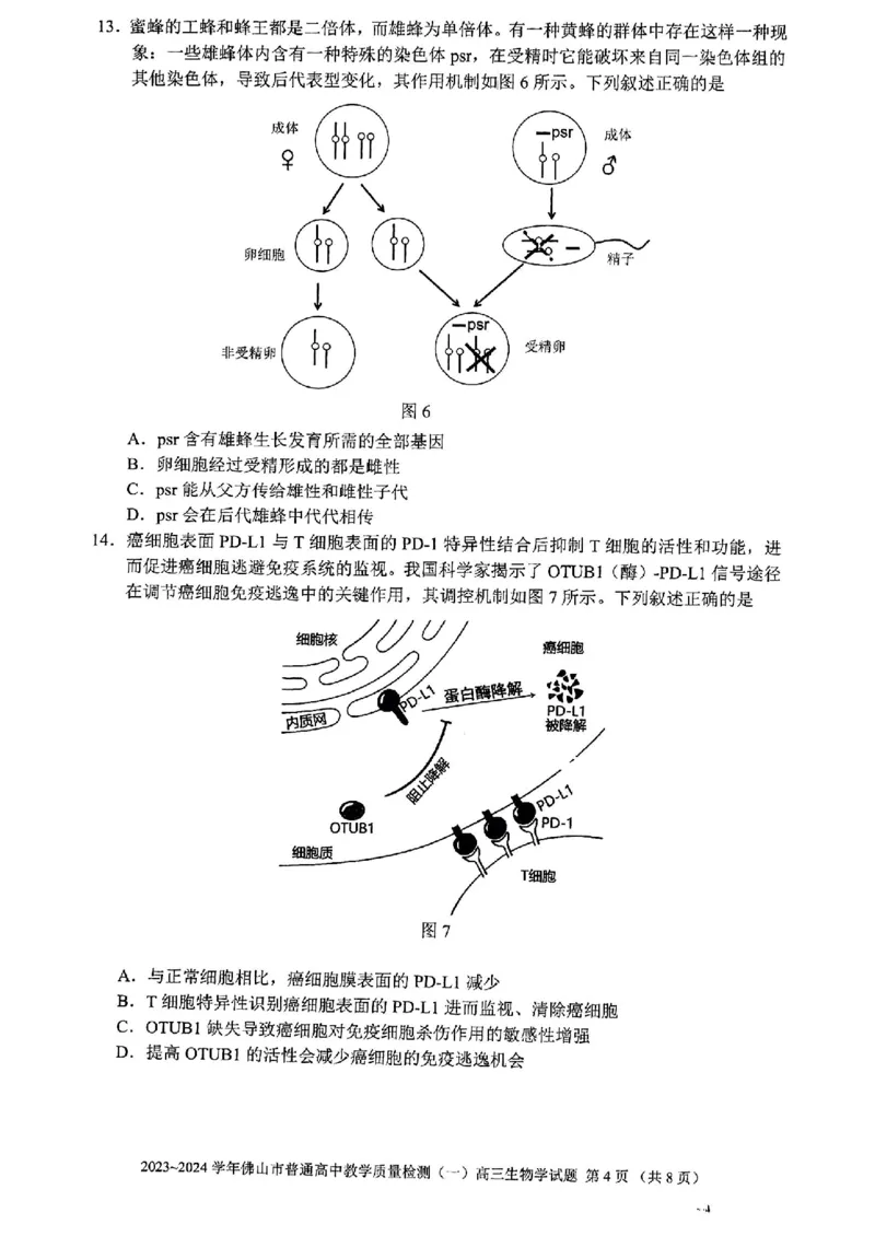 广东省佛山市普通高中2024届高三上学期期末教学质量检测（一）生物_2024届广东省佛山市普通高中高三上学期期末教学质量检测（一）
