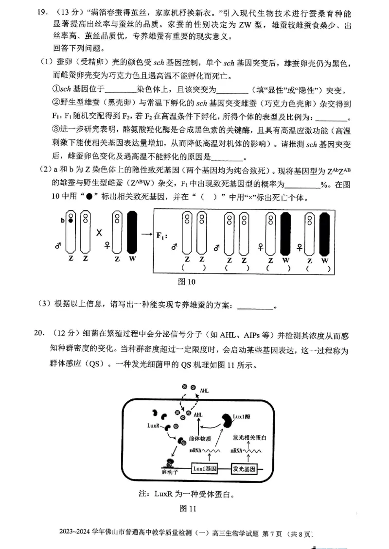 广东省佛山市普通高中2024届高三上学期期末教学质量检测（一）生物_2024届广东省佛山市普通高中高三上学期期末教学质量检测（一）