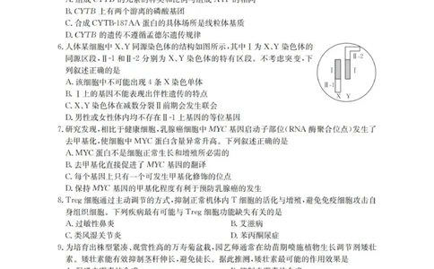 陕西省西安市多校2025-2026学年高三上学期11月月考生物试题_2025年12月_251203陕西省金太阳2025-2026学年高三上学期11月联考（全科）