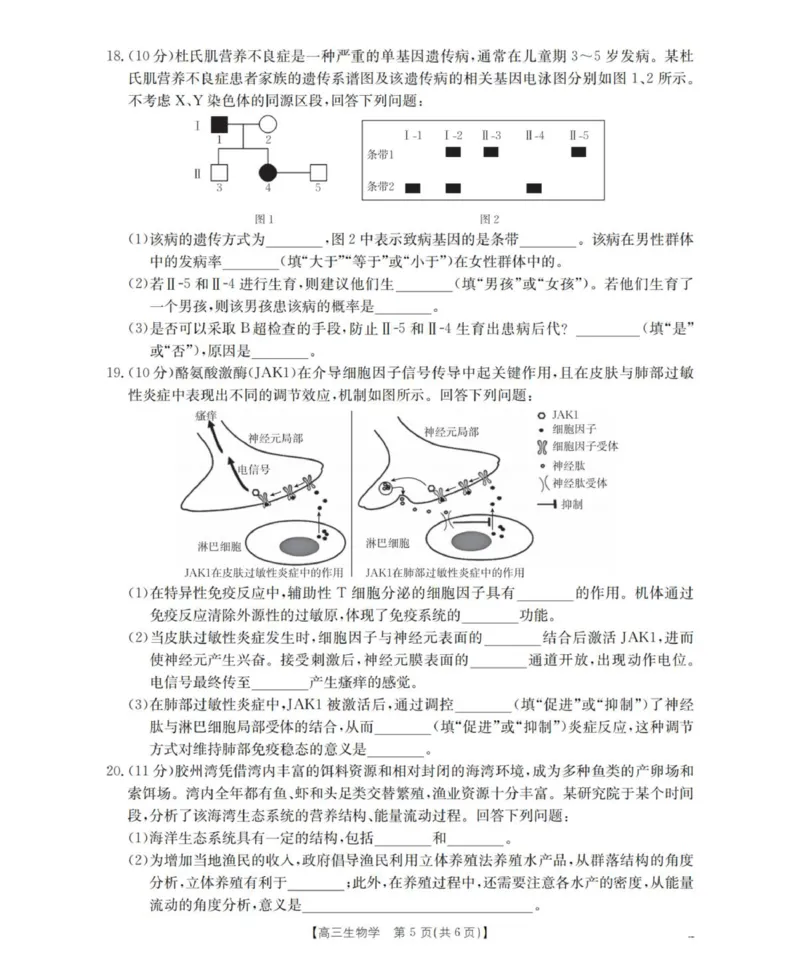 陕西省西安市多校2025-2026学年高三上学期11月月考生物试题_2025年12月_251203陕西省金太阳2025-2026学年高三上学期11月联考（全科）
