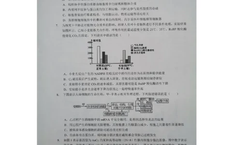 预约2025-2026学年度湖北省高三上学期期中考试-生物试题_251112湖北省楚天协作体2025-2026学年度高三上学期期中考试（全科）_湖北省部分学校2025-2026学年高三上学期期中考试生物试题