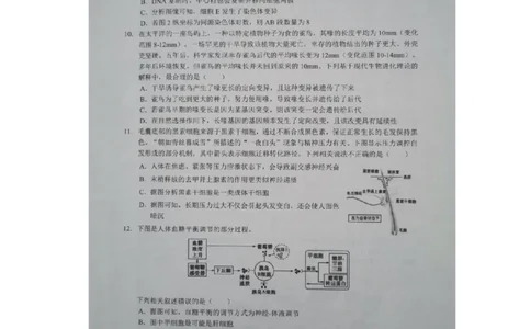 预约2025-2026学年度湖北省高三上学期期中考试-生物试题_251112湖北省楚天协作体2025-2026学年度高三上学期期中考试（全科）_湖北省部分学校2025-2026学年高三上学期期中考试生物试题