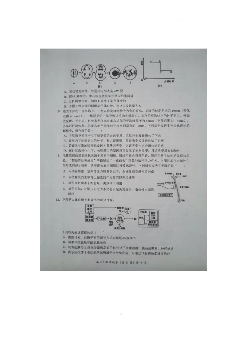 预约2025-2026学年度湖北省高三上学期期中考试-生物试题_251112湖北省楚天协作体2025-2026学年度高三上学期期中考试（全科）_湖北省部分学校2025-2026学年高三上学期期中考试生物试题